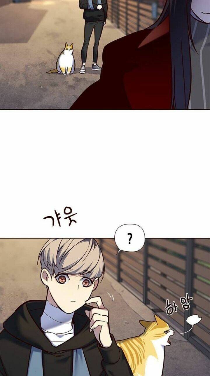 Hoá Thân Thành Mèo - Chapter 115 - Page 64