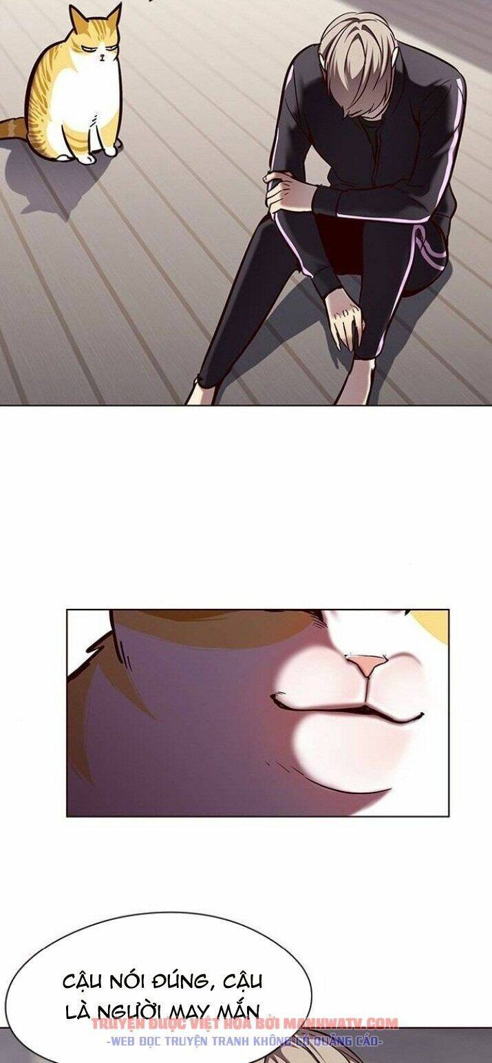 Hoá Thân Thành Mèo - Chapter 116 - Page 16