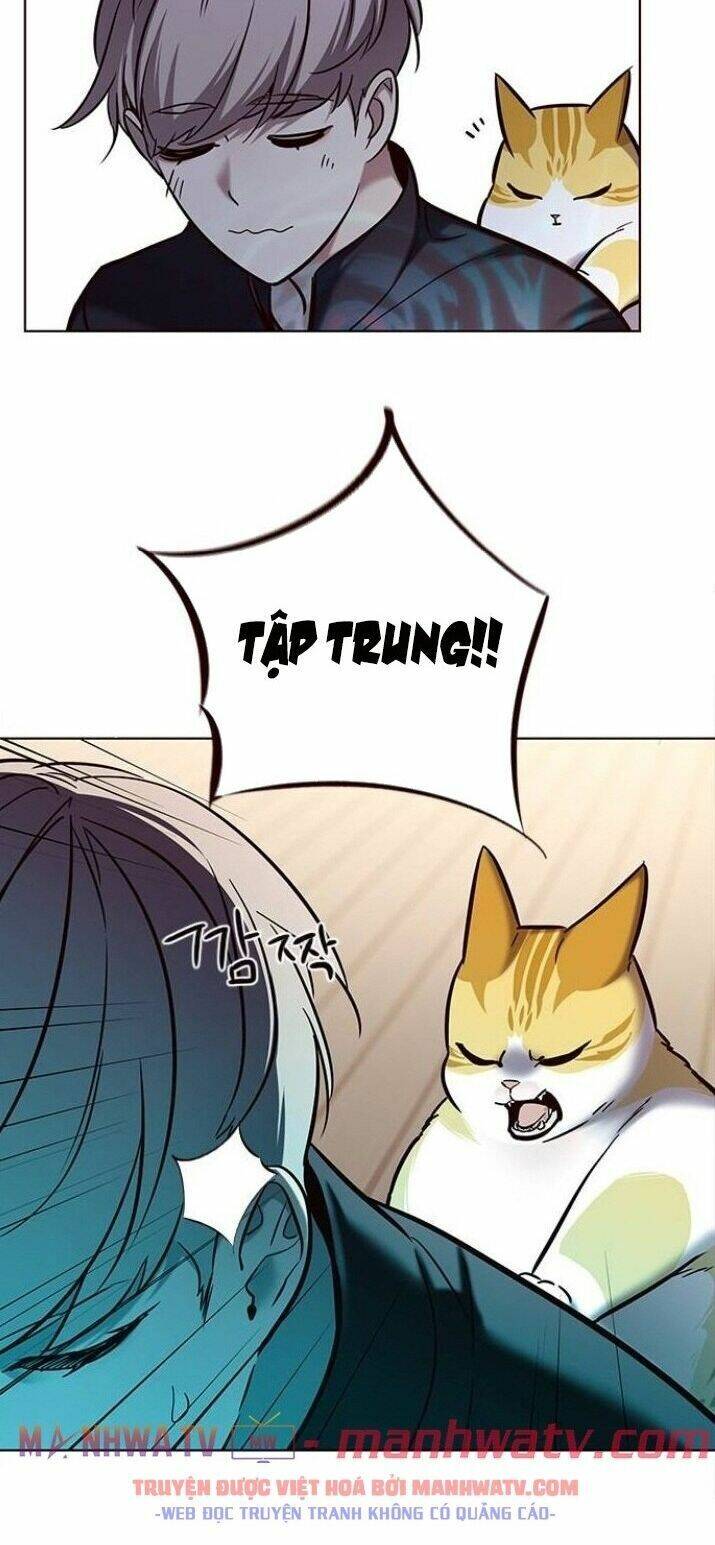 Hoá Thân Thành Mèo - Chapter 116 - Page 24