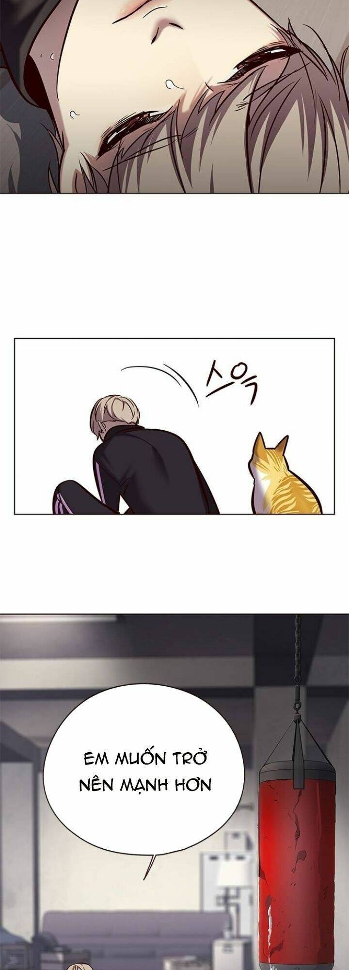 Hoá Thân Thành Mèo - Chapter 116 - Page 5
