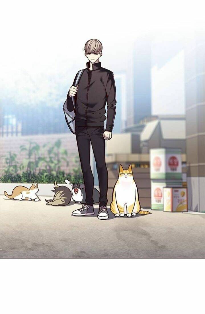 Hoá Thân Thành Mèo - Chapter 117 - Page 29