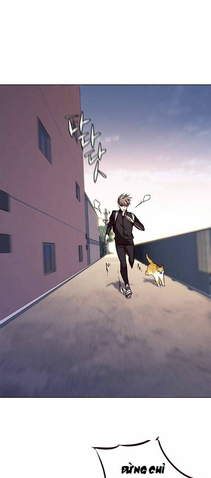 Hoá Thân Thành Mèo - Chapter 117 - Page 3