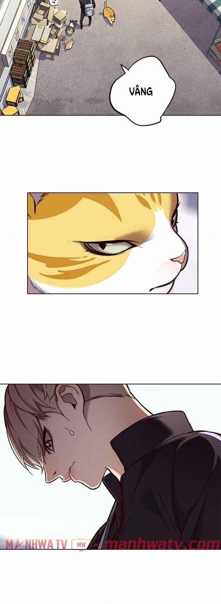 Hoá Thân Thành Mèo - Chapter 117 - Page 31