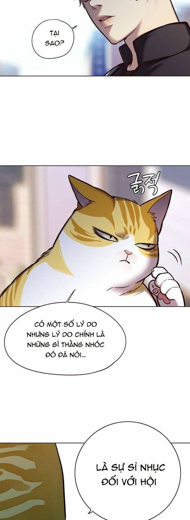 Hoá Thân Thành Mèo - Chapter 117 - Page 33