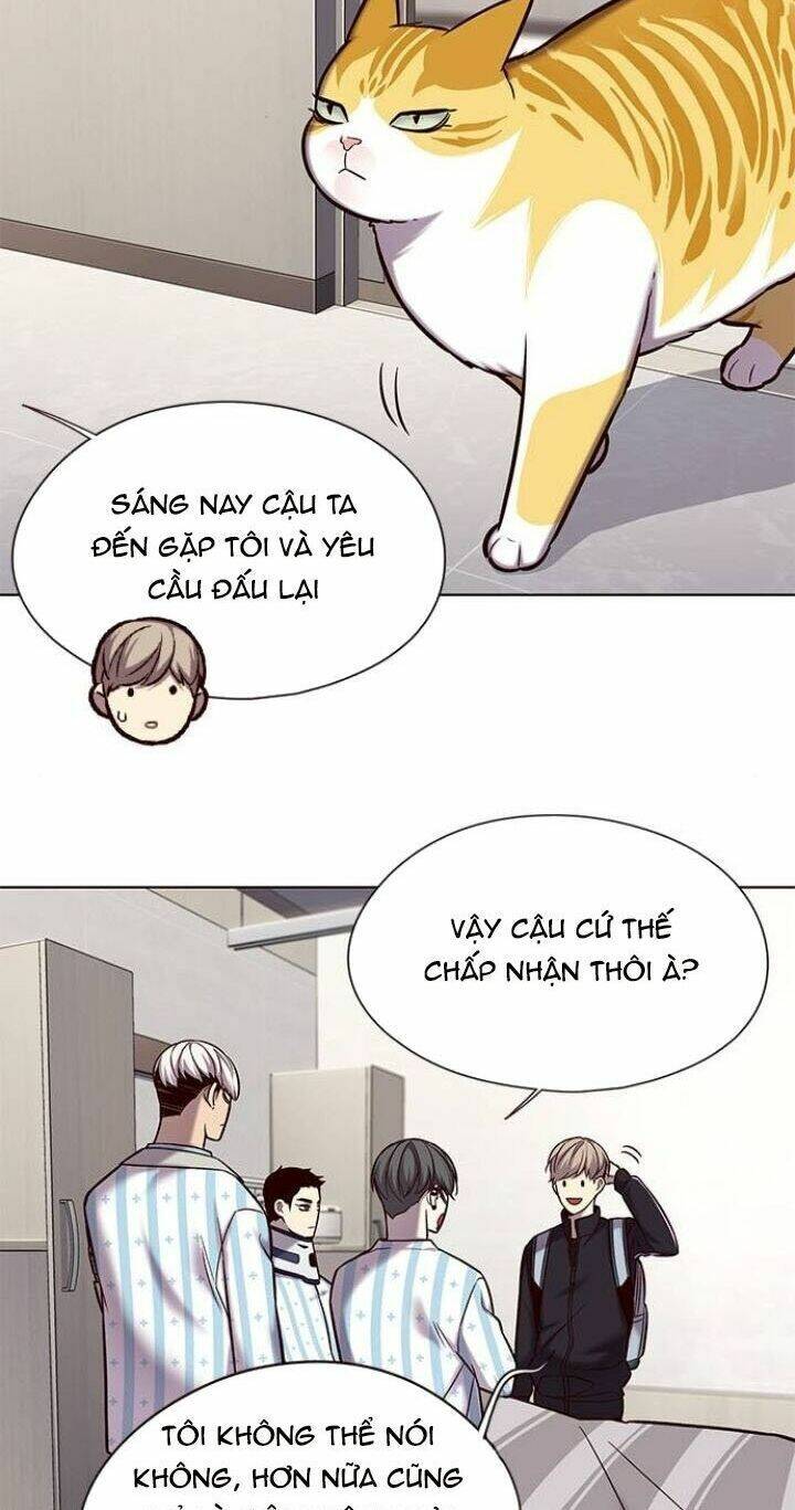 Hoá Thân Thành Mèo - Chapter 117 - Page 41