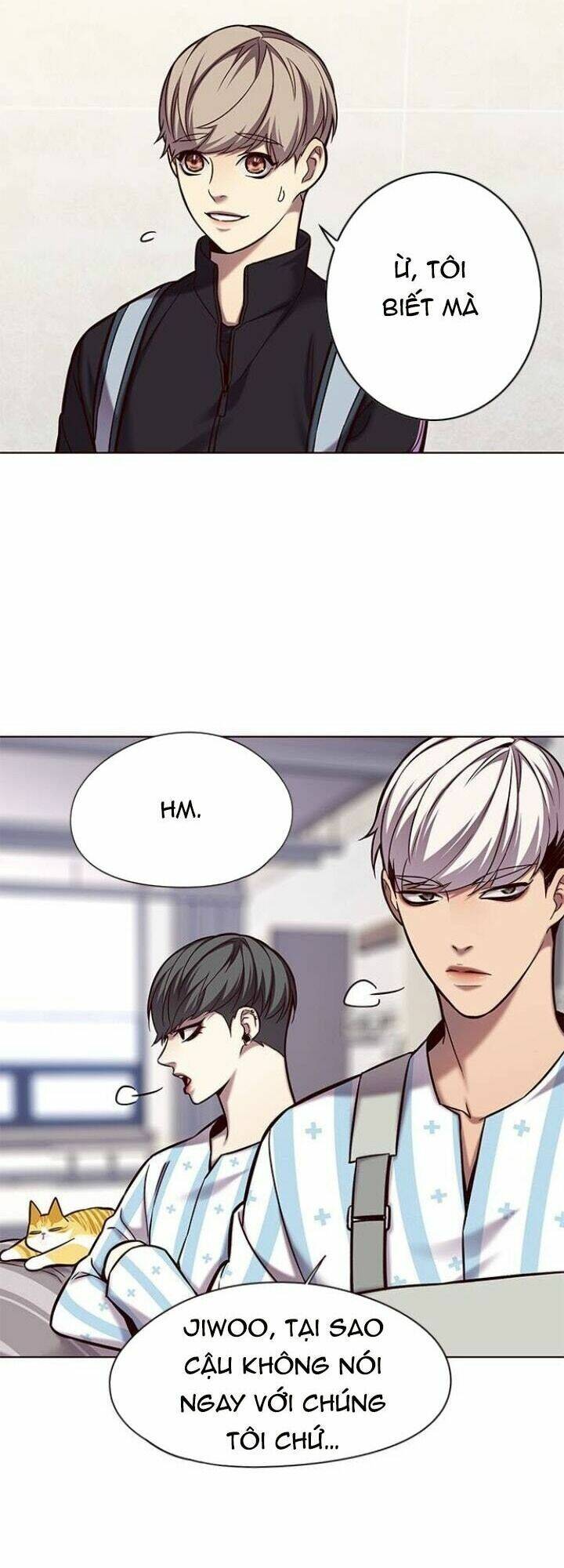 Hoá Thân Thành Mèo - Chapter 117 - Page 43
