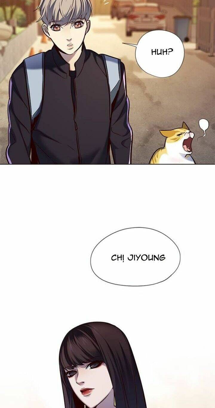Hoá Thân Thành Mèo - Chapter 117 - Page 52