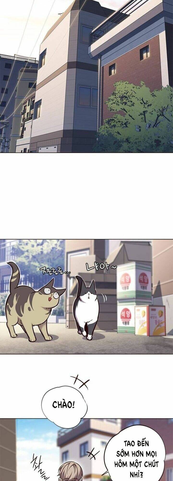 Hoá Thân Thành Mèo - Chapter 117 - Page 8