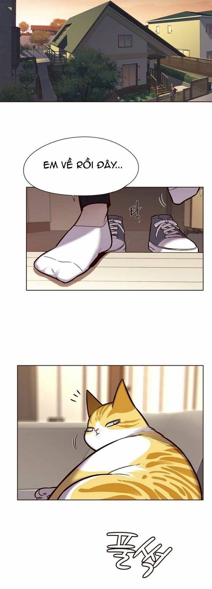 Hoá Thân Thành Mèo - Chapter 118 - Page 39