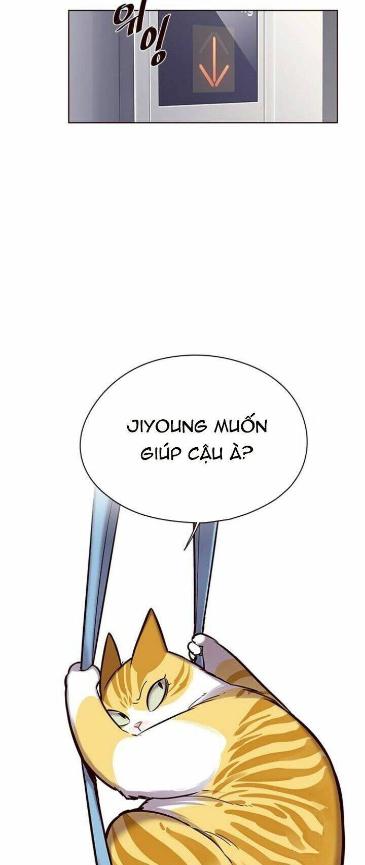 Hoá Thân Thành Mèo - Chapter 118 - Page 4