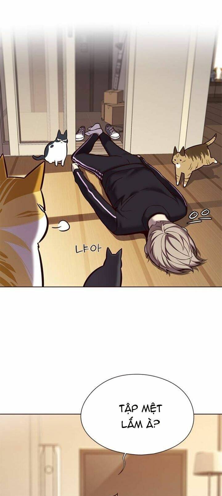 Hoá Thân Thành Mèo - Chapter 118 - Page 40