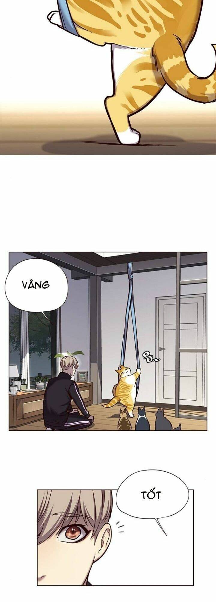 Hoá Thân Thành Mèo - Chapter 118 - Page 5