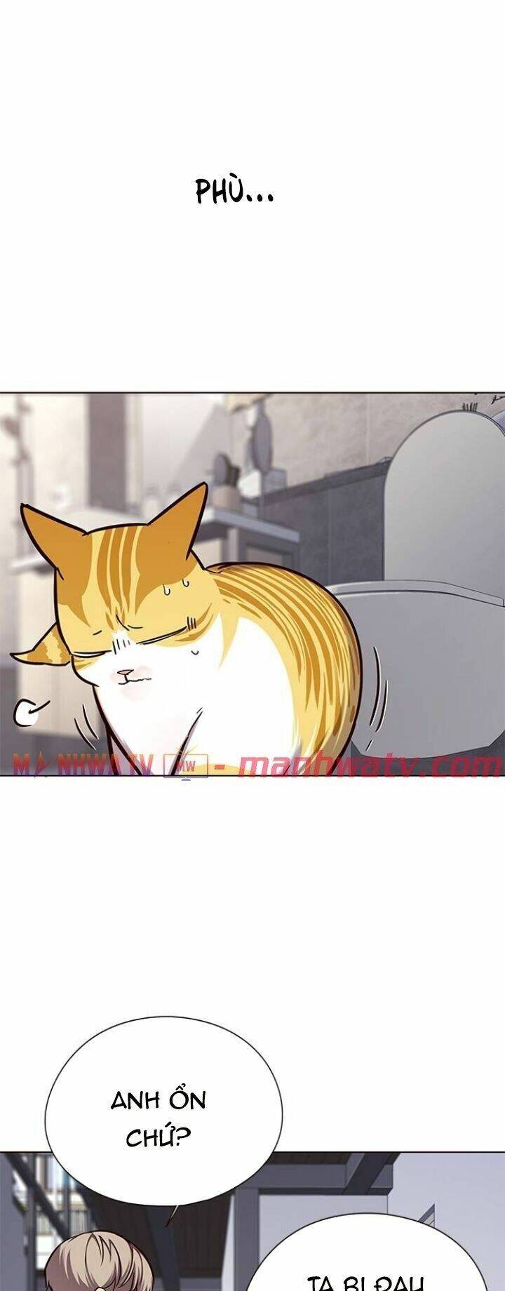 Hoá Thân Thành Mèo - Chapter 119 - Page 3