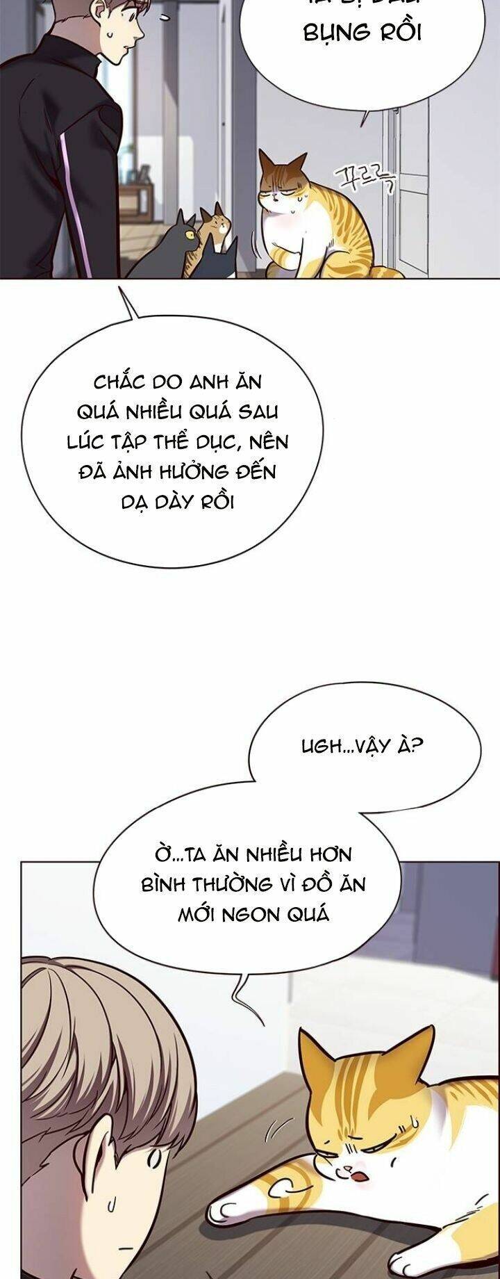 Hoá Thân Thành Mèo - Chapter 119 - Page 4