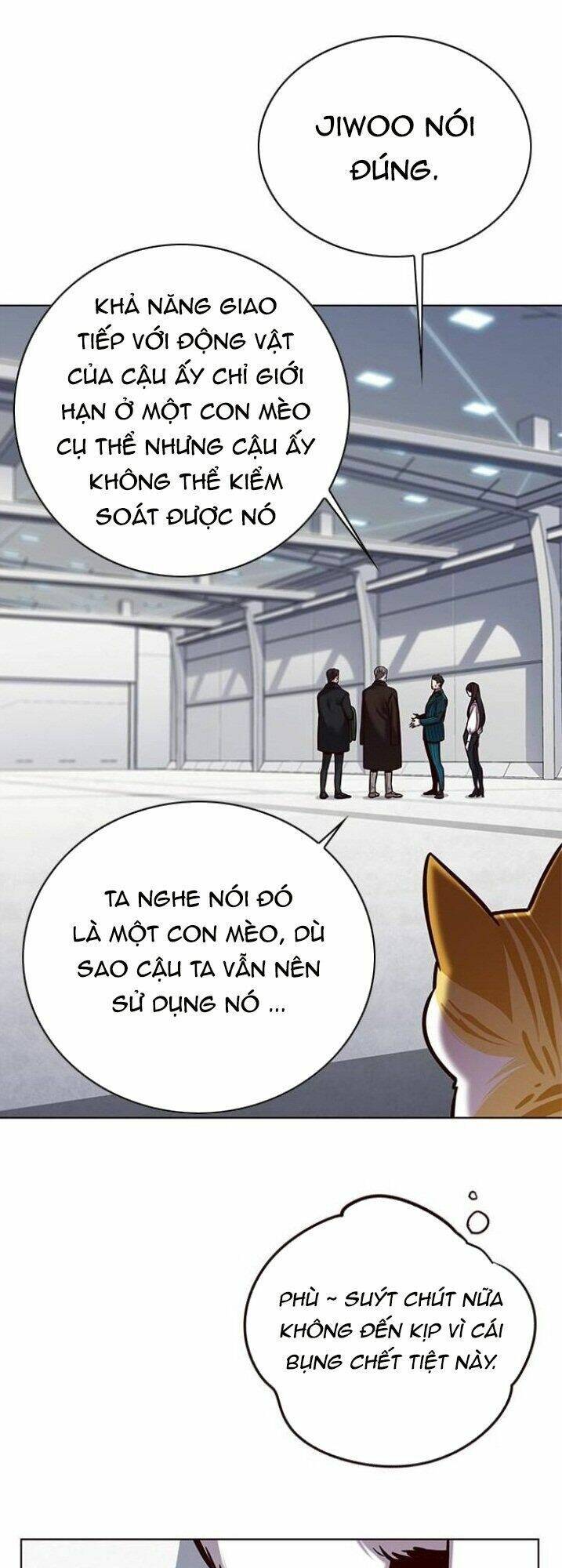 Hoá Thân Thành Mèo - Chapter 119 - Page 46