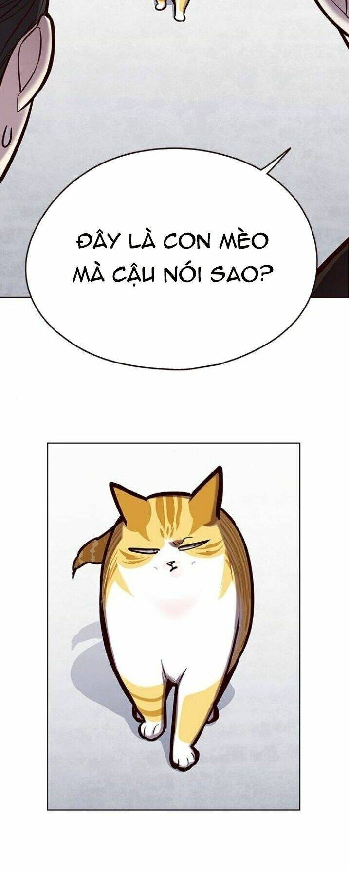 Hoá Thân Thành Mèo - Chapter 119 - Page 48