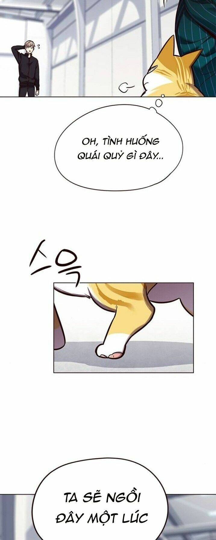 Hoá Thân Thành Mèo - Chapter 119 - Page 51