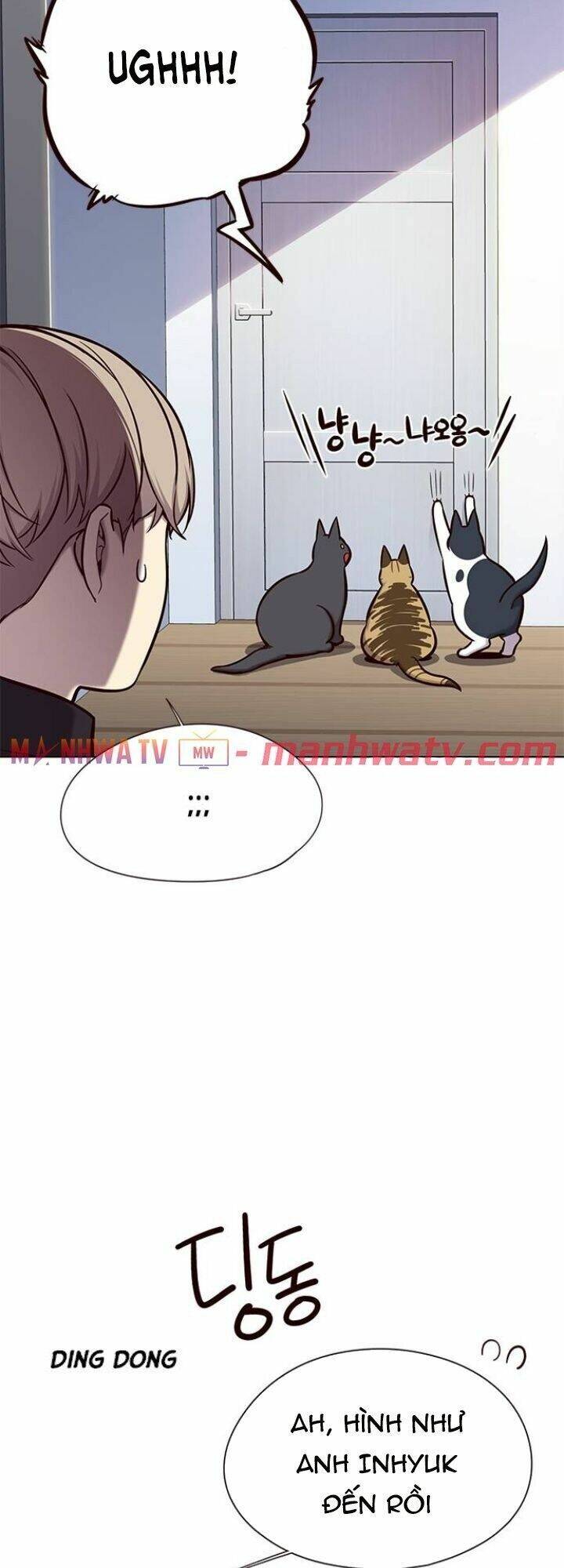 Hoá Thân Thành Mèo - Chapter 119 - Page 8
