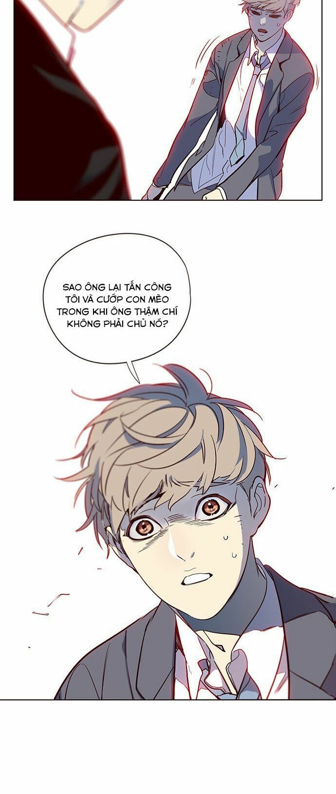 Hoá Thân Thành Mèo - Chapter 12 - Page 4