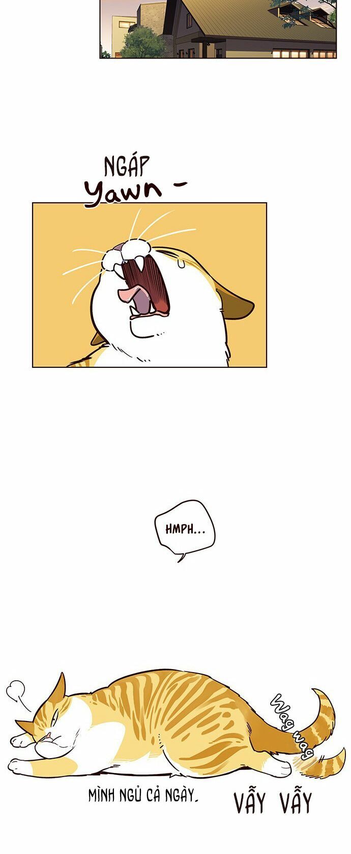 Hoá Thân Thành Mèo - Chapter 12 - Page 47