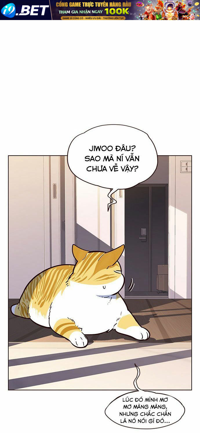 Hoá Thân Thành Mèo - Chapter 12 - Page 48