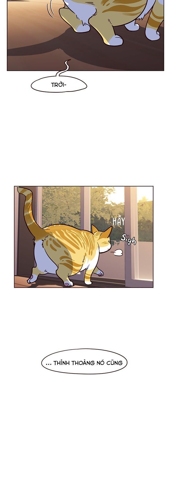 Hoá Thân Thành Mèo - Chapter 12 - Page 51