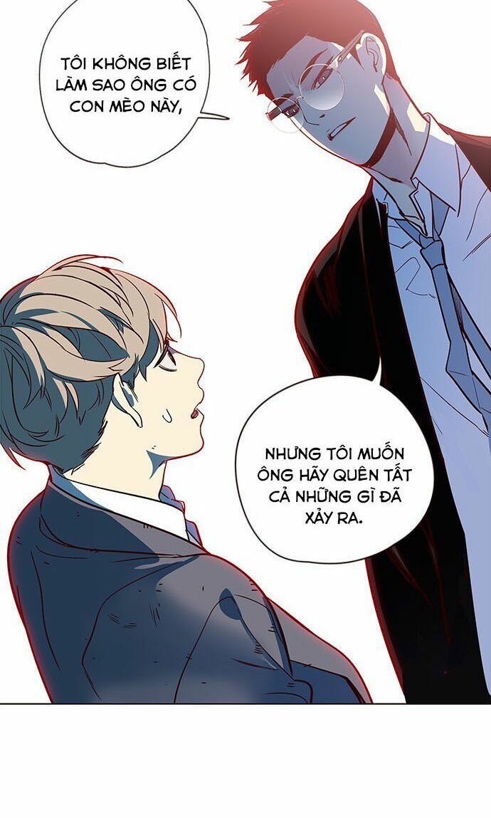 Hoá Thân Thành Mèo - Chapter 12 - Page 6