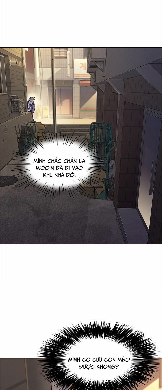 Hoá Thân Thành Mèo - Chapter 12 - Page 65