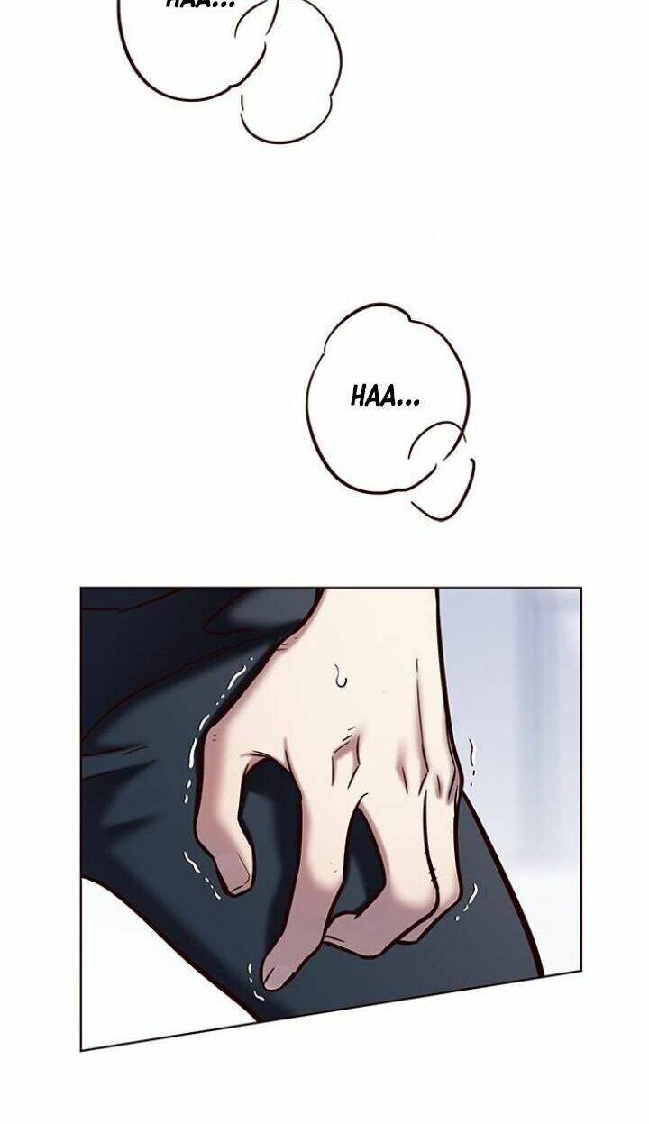 Hoá Thân Thành Mèo - Chapter 120 - Page 29