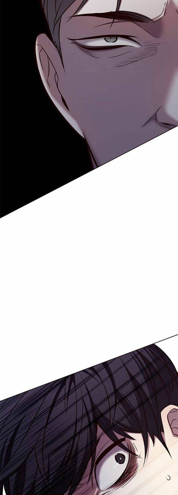 Hoá Thân Thành Mèo - Chapter 120 - Page 42