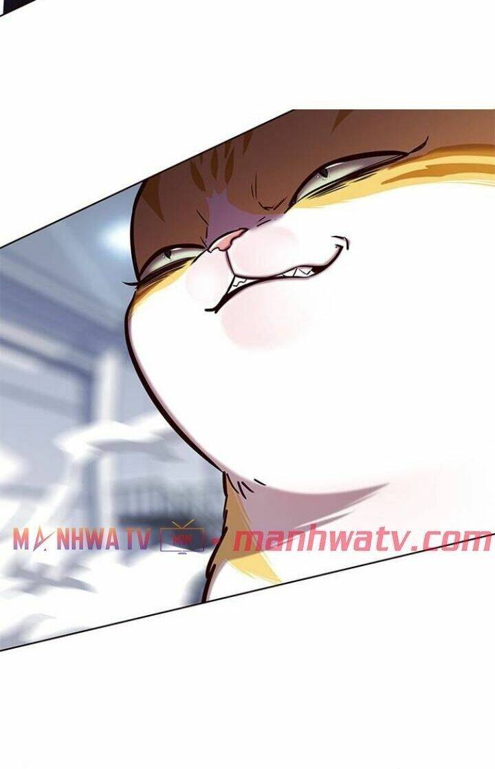 Hoá Thân Thành Mèo - Chapter 120 - Page 77