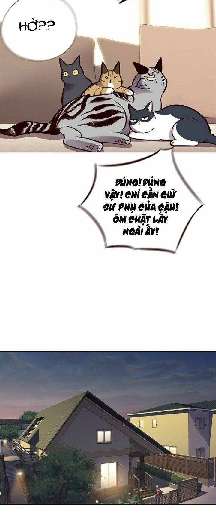 Hoá Thân Thành Mèo - Chapter 123 - Page 43