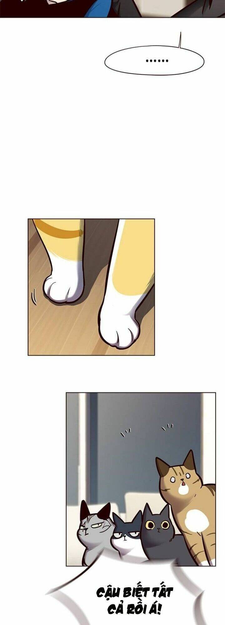 Hoá Thân Thành Mèo - Chapter 123 - Page 54