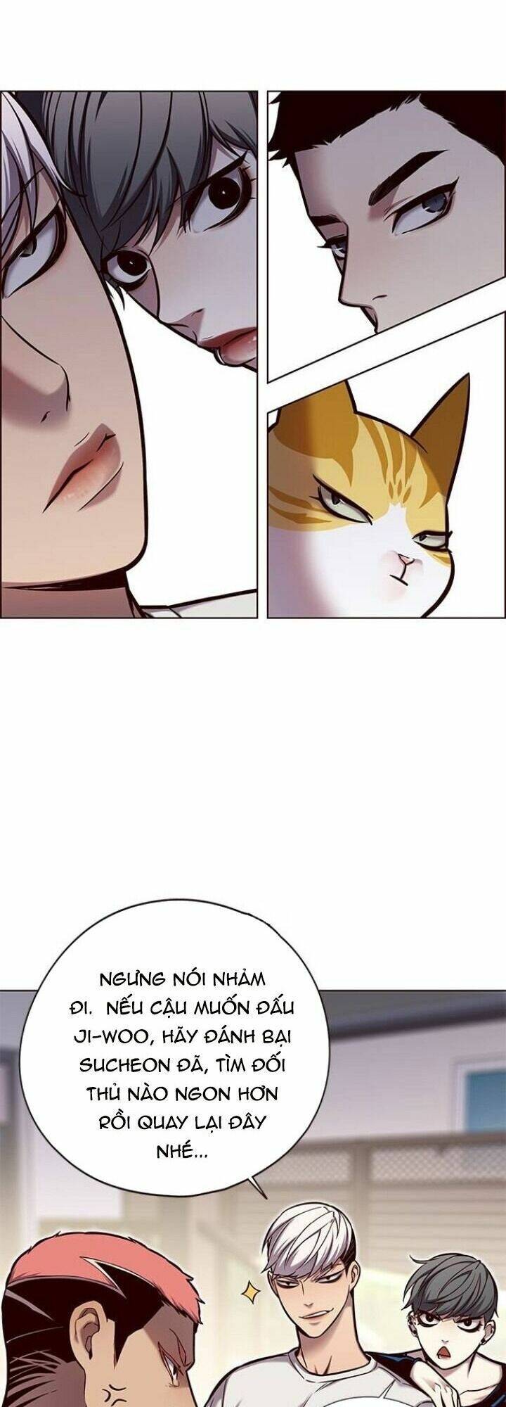 Hoá Thân Thành Mèo - Chapter 124 - Page 43