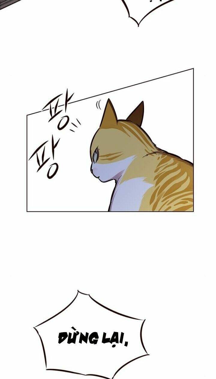 Hoá Thân Thành Mèo - Chapter 124 - Page 8