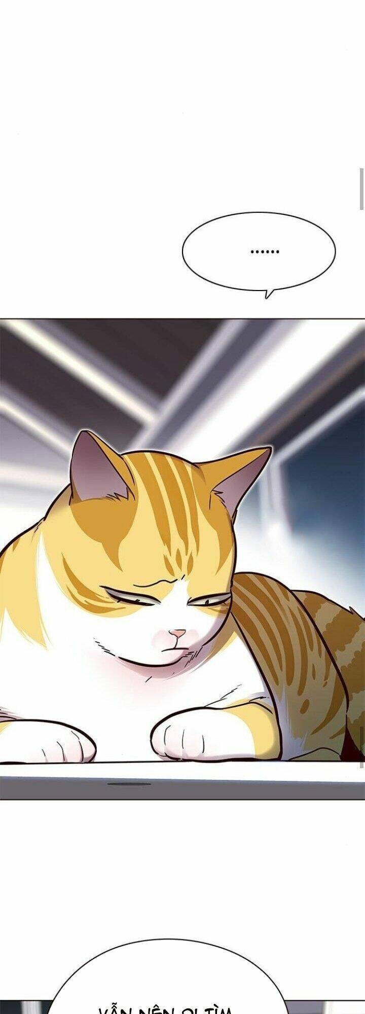Hoá Thân Thành Mèo - Chapter 125 - Page 62