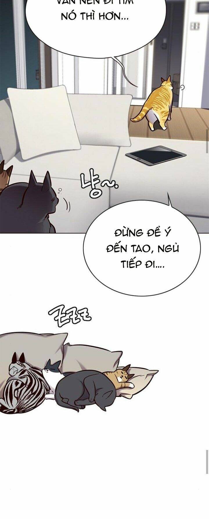 Hoá Thân Thành Mèo - Chapter 125 - Page 63