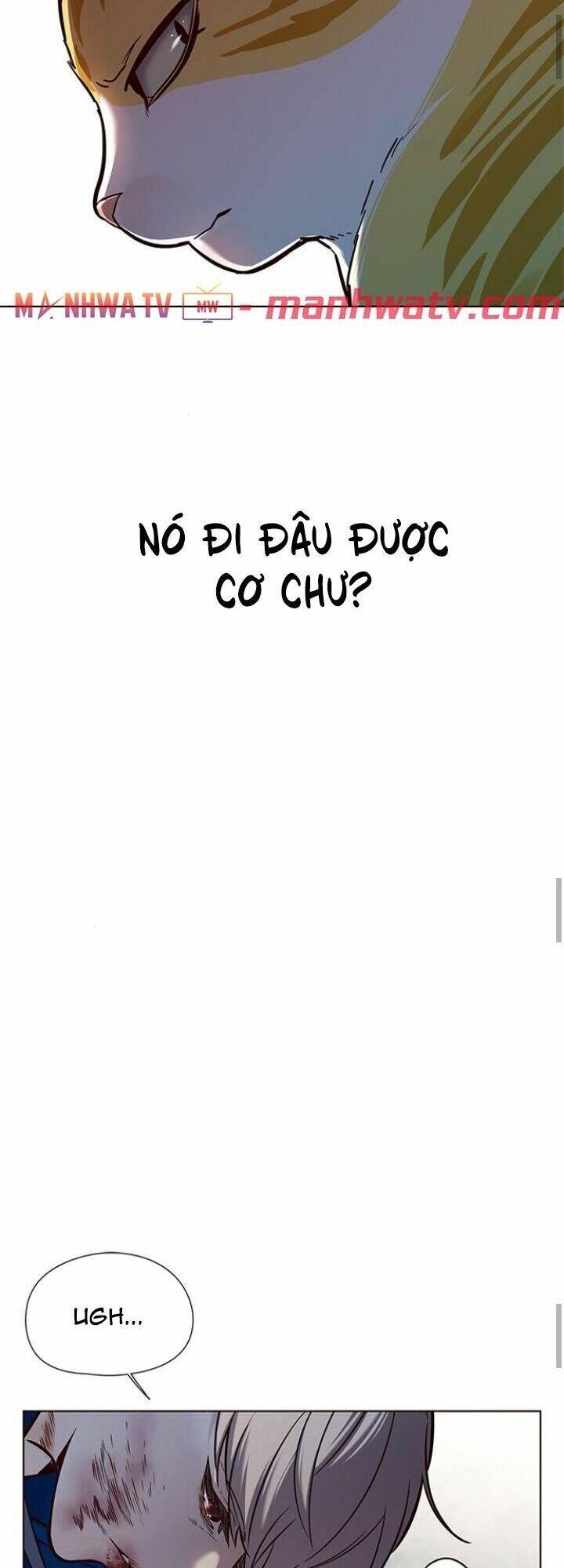 Hoá Thân Thành Mèo - Chapter 125 - Page 68