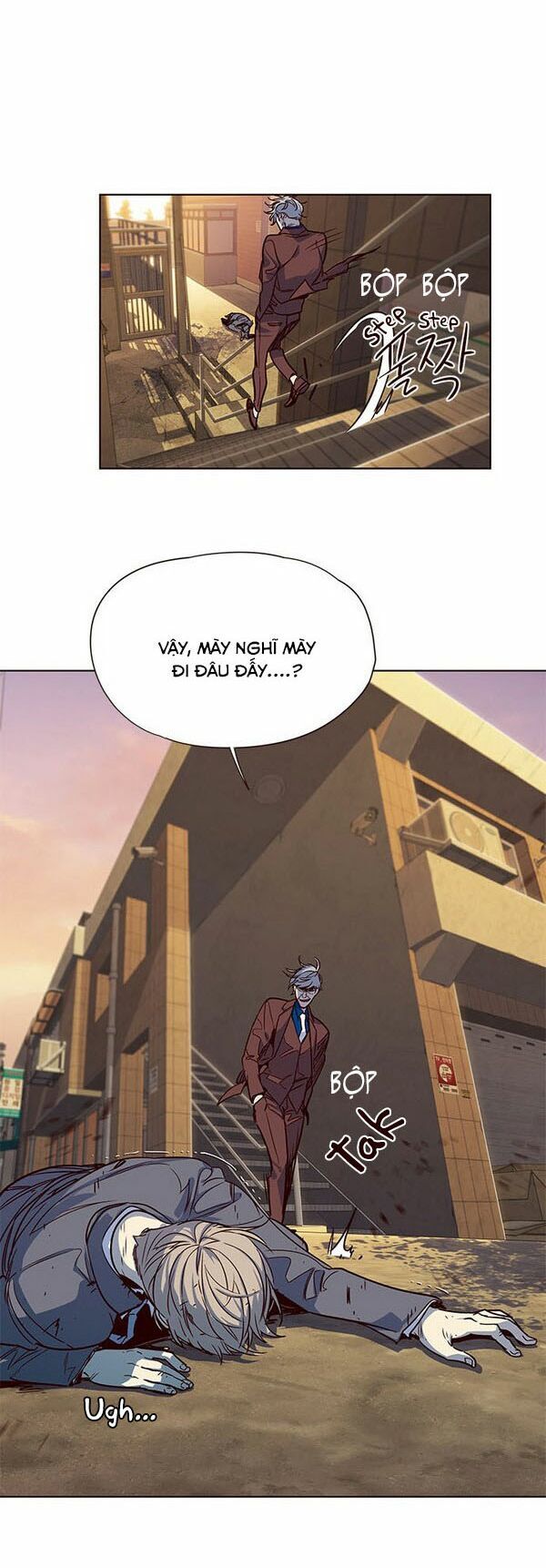 Hoá Thân Thành Mèo - Chapter 13 - Page 14