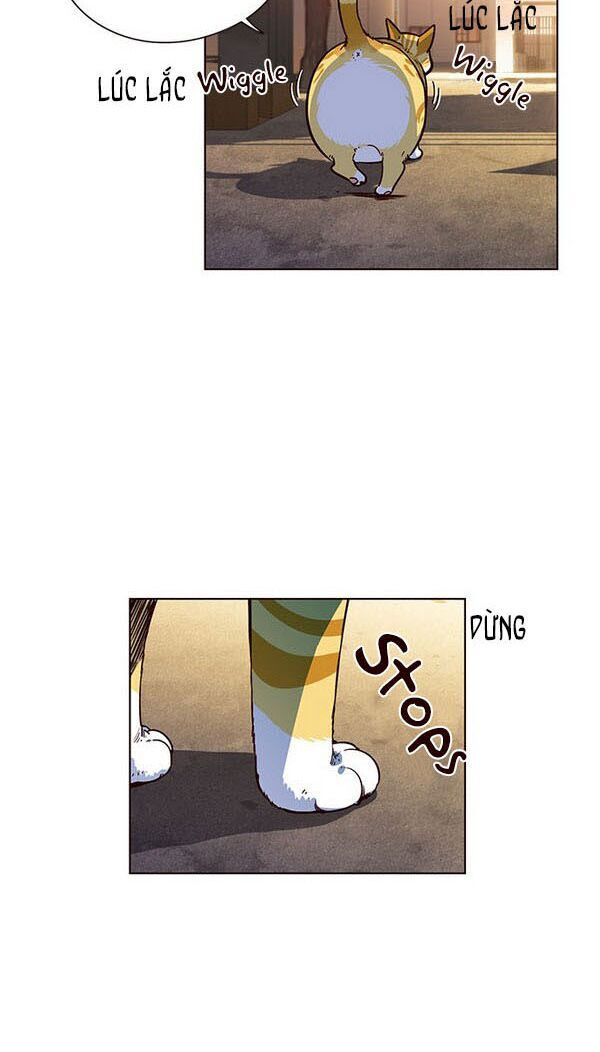 Hoá Thân Thành Mèo - Chapter 13 - Page 4