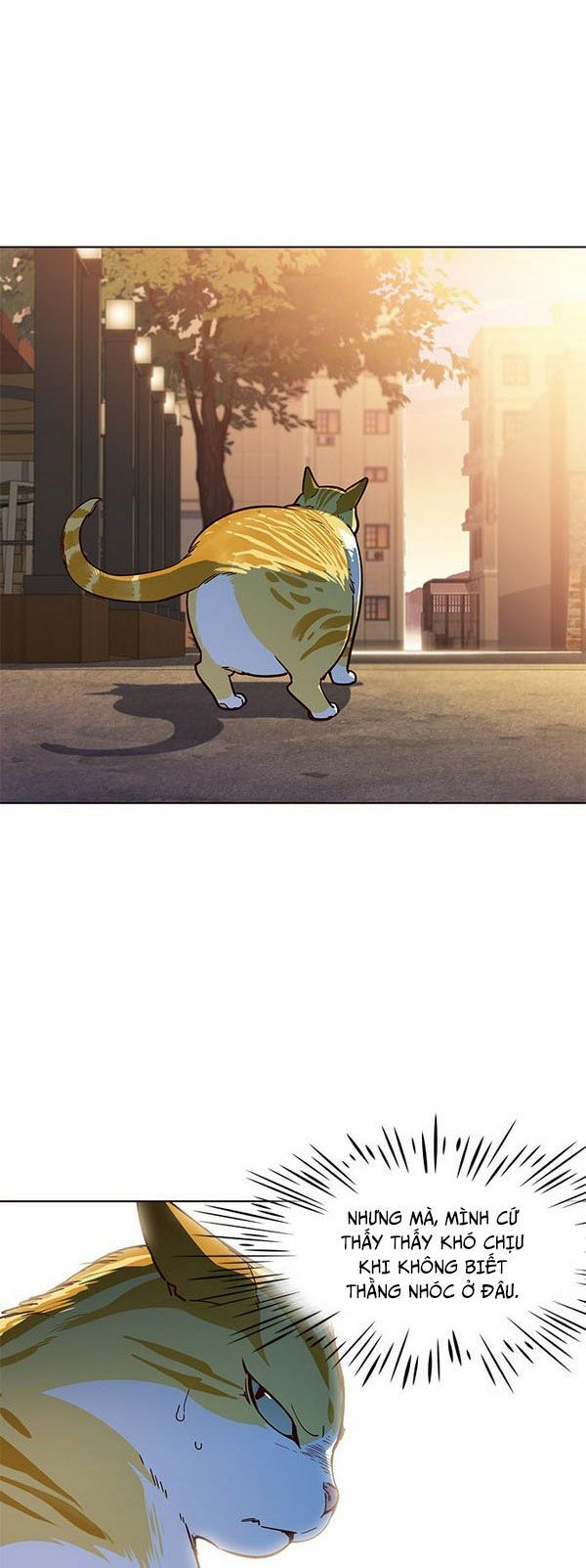 Hoá Thân Thành Mèo - Chapter 13 - Page 5