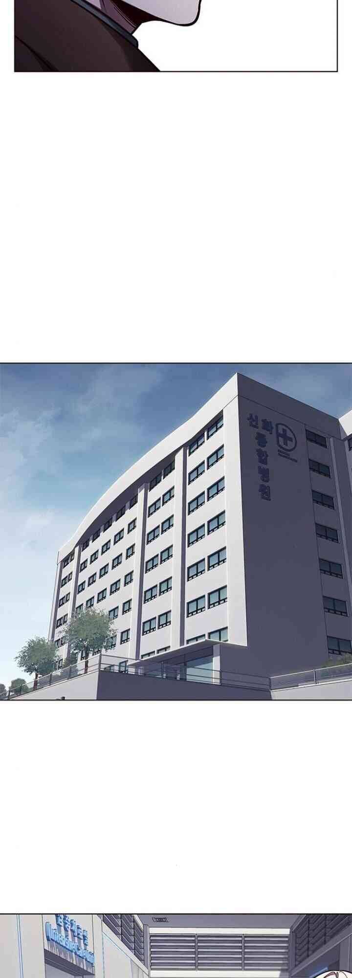 Hoá Thân Thành Mèo - Chapter 133 - Page 43