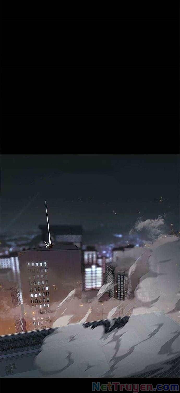 Hoá Thân Thành Mèo - Chapter 135 - Page 13