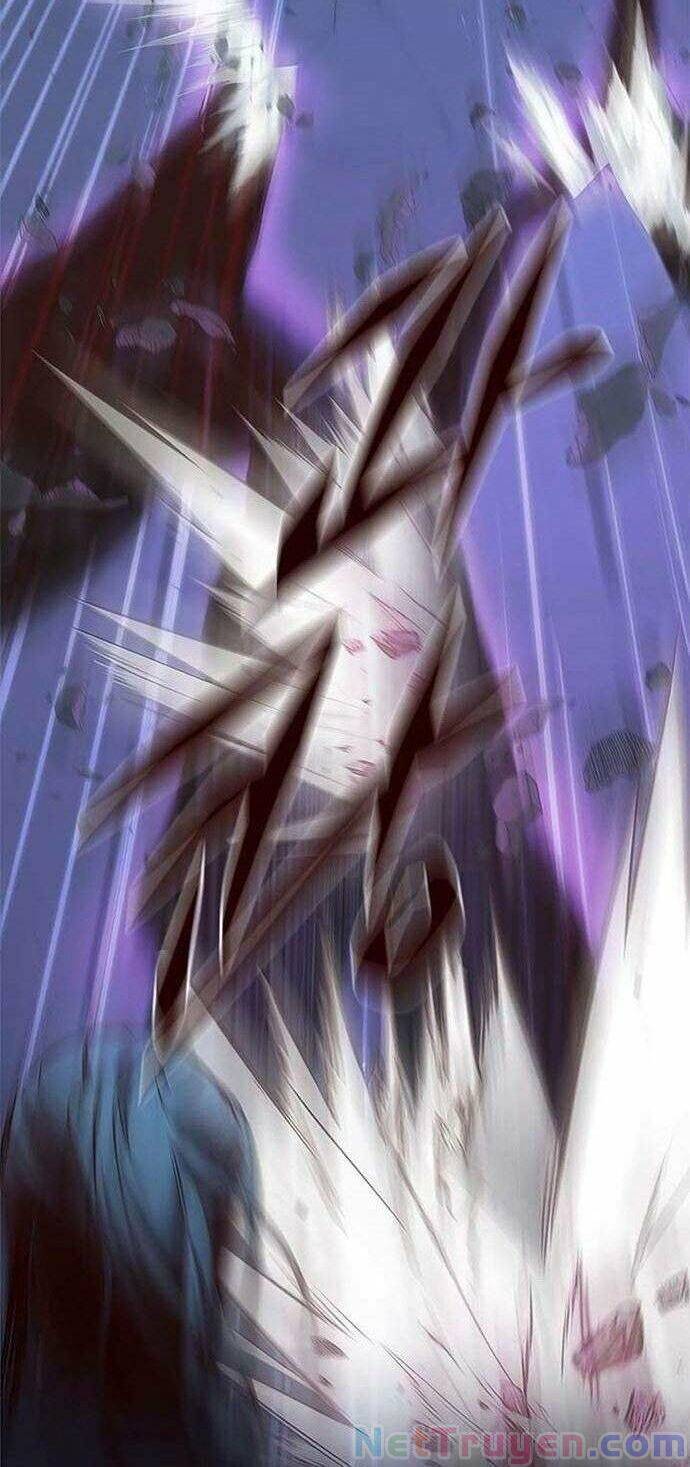 Hoá Thân Thành Mèo - Chapter 135 - Page 42