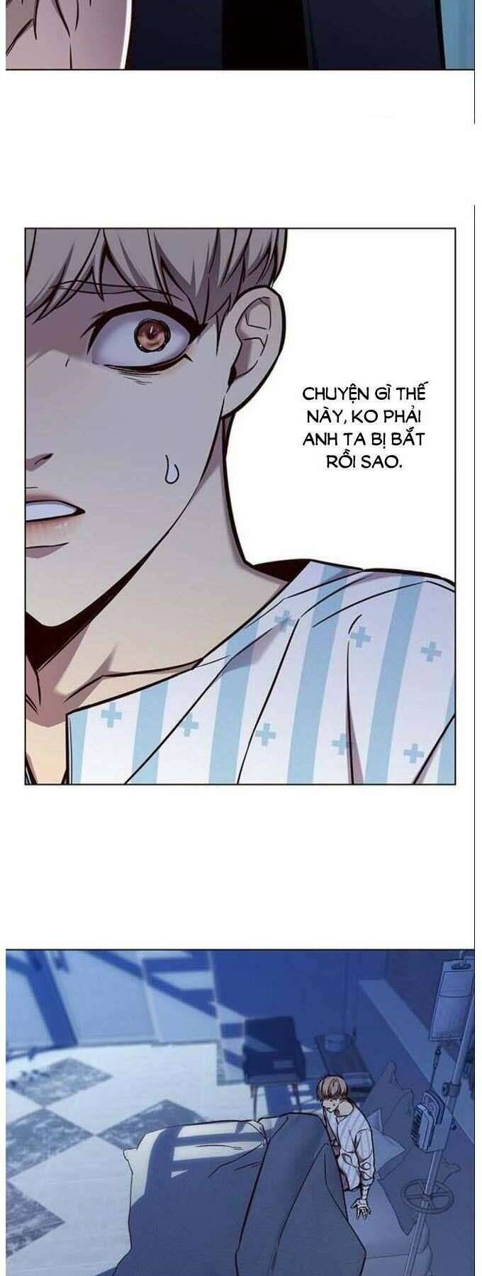 Hoá Thân Thành Mèo - Chapter 137 - Page 5