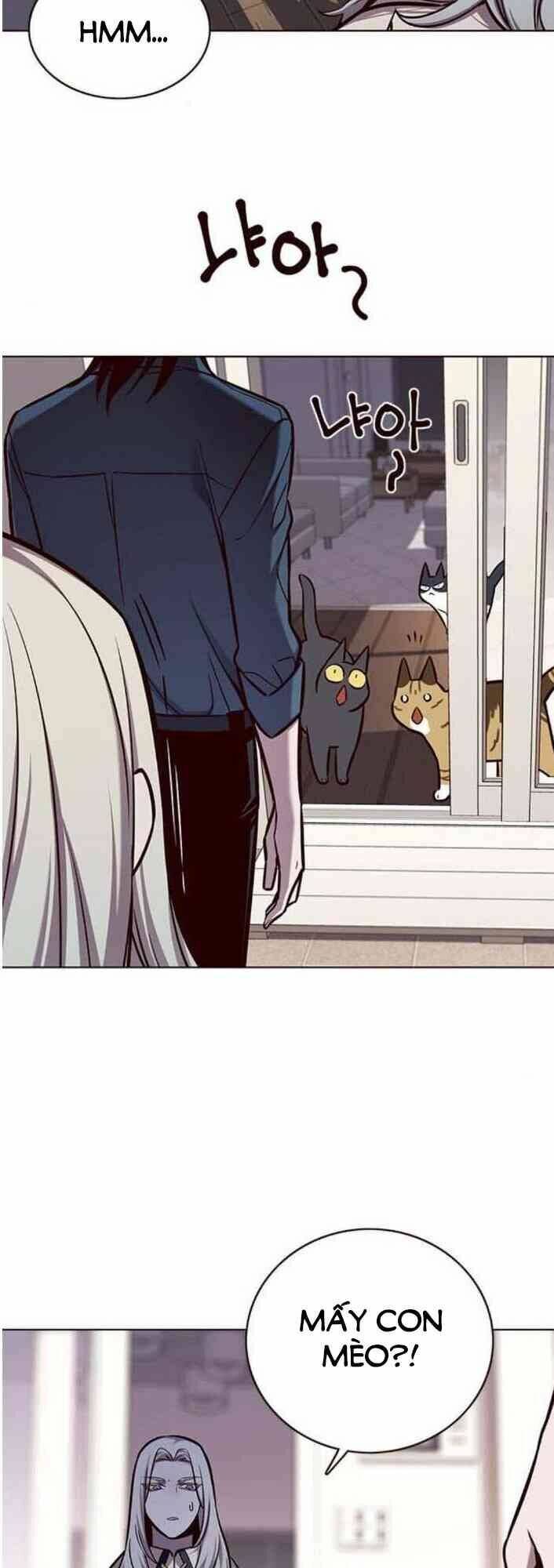 Hoá Thân Thành Mèo - Chapter 138 - Page 60