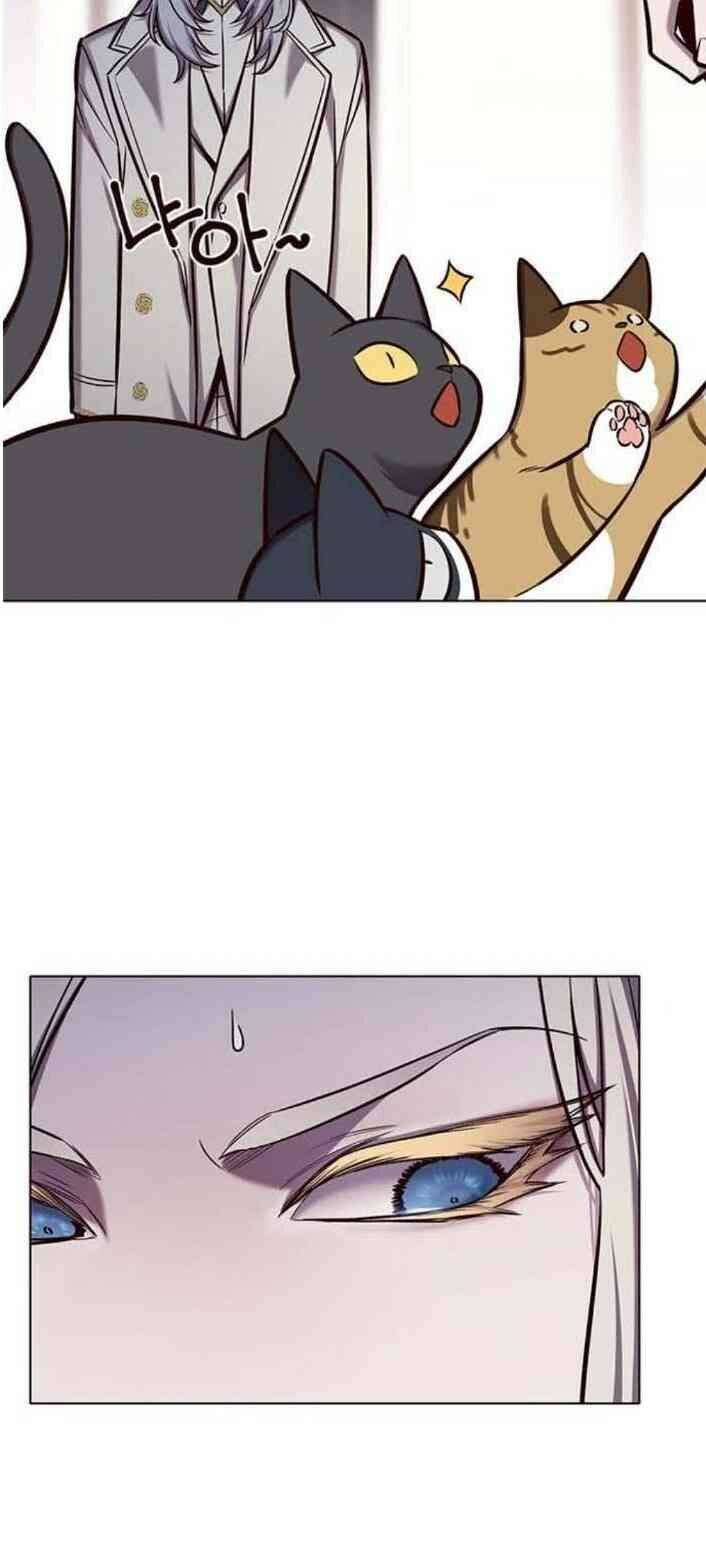Hoá Thân Thành Mèo - Chapter 138 - Page 61
