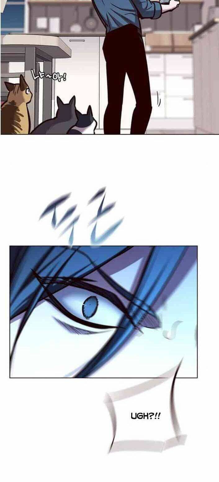 Hoá Thân Thành Mèo - Chapter 138 - Page 68