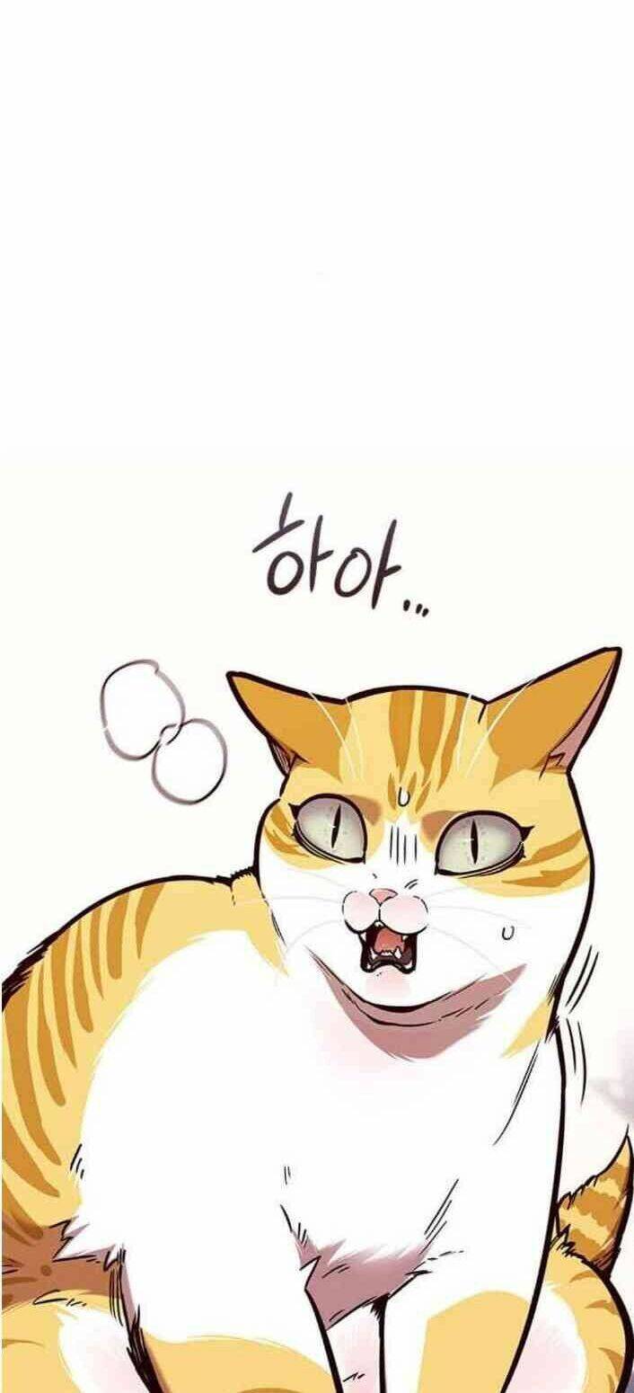 Hoá Thân Thành Mèo - Chapter 138 - Page 71