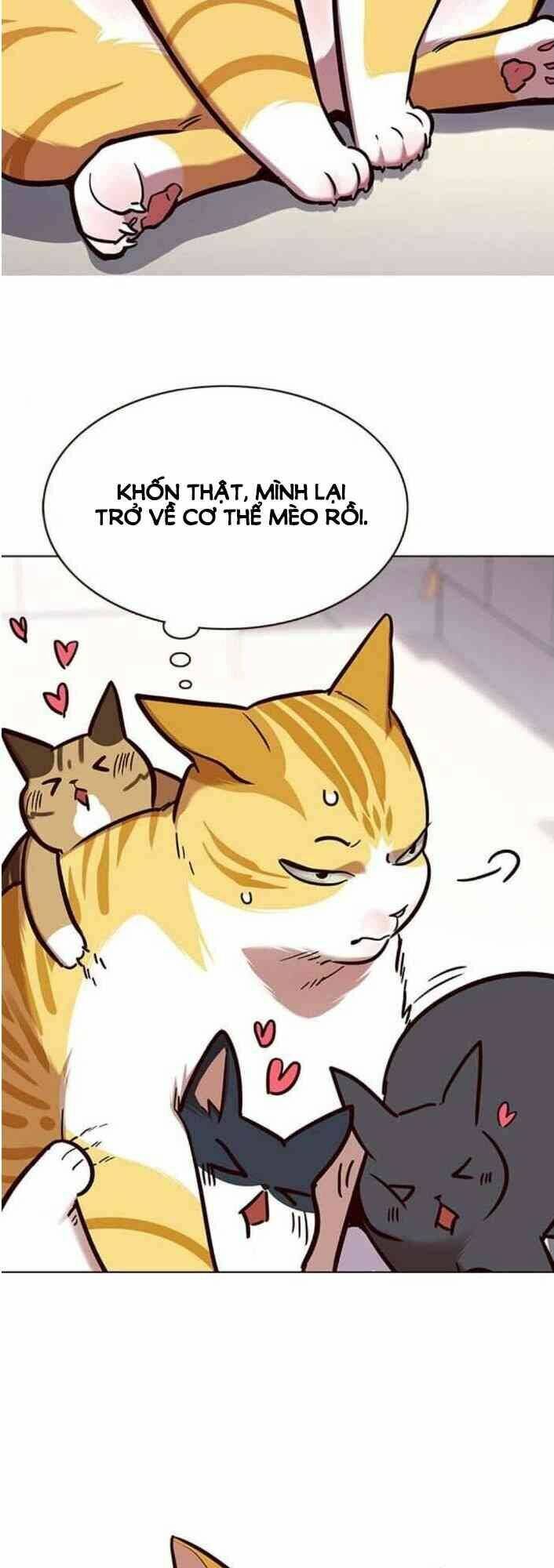 Hoá Thân Thành Mèo - Chapter 138 - Page 72